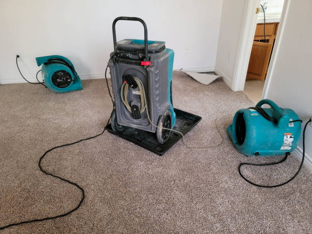 Best Commercial water damage restoration  in Hoopers Creek, NC