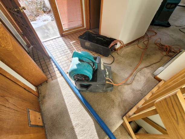 Best Water damage cleanup near me  in Hoopers Creek, NC