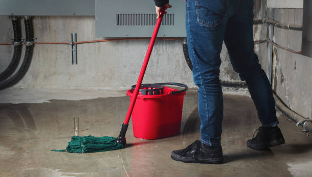 Best 24/7 water damage repair  in Hoopers Creek, NC