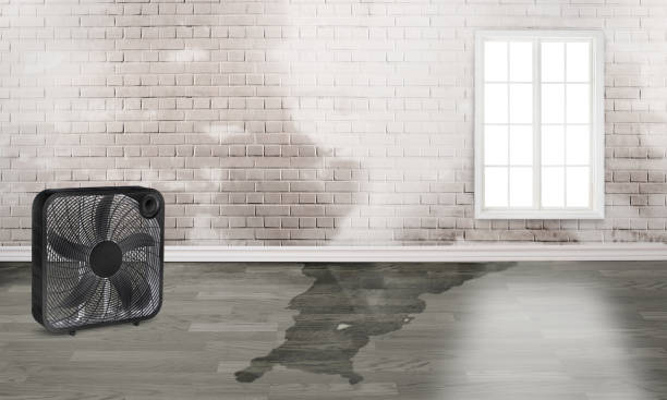  Hoopers Creek, NC Water damage restoration Pros