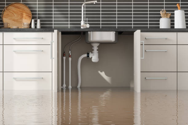 Best Mold removal after water damage  in Hoopers Creek, NC